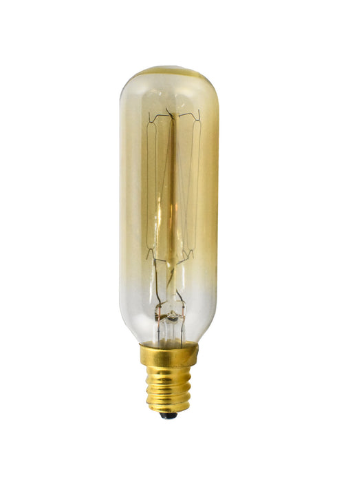 Maxim BI40T6E12CL120V Light Bulb