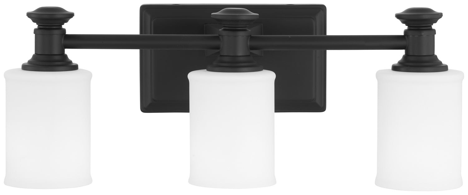 Minka-Lavery 5173-66A Three Light Vanity, Coal