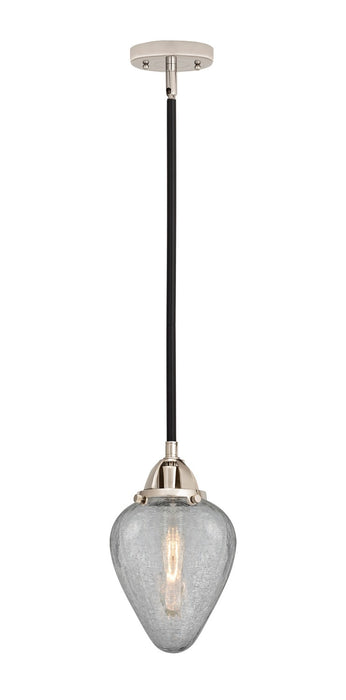 Innovations 288-1S-BPN-G165-LED LED Mini Pendant, Black Polished Nickel
