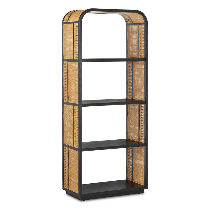 Currey and Company 3000-0229 Etagere, Natural/Black