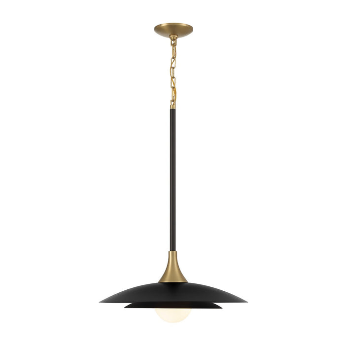 Eurofase 46441-041 LED Pendant, Black