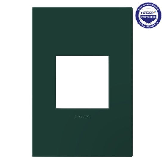 Legrand AWP1G2EG Wall Plate