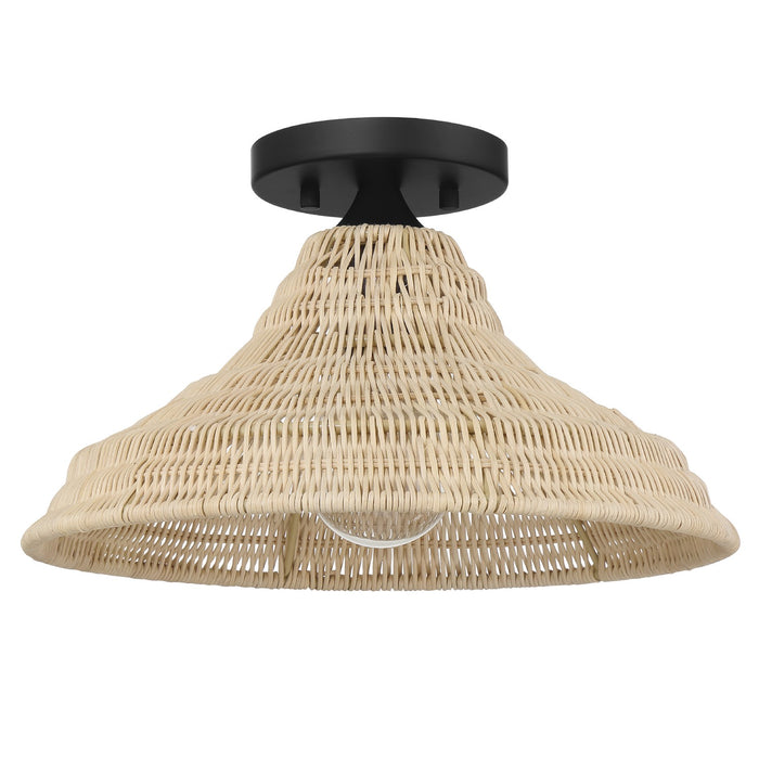 Hunter 48082 One Light Flush Mount, Matte Black