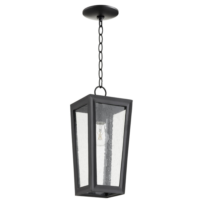 Quorum 716-6-69 One Light Pendant, Textured Black
