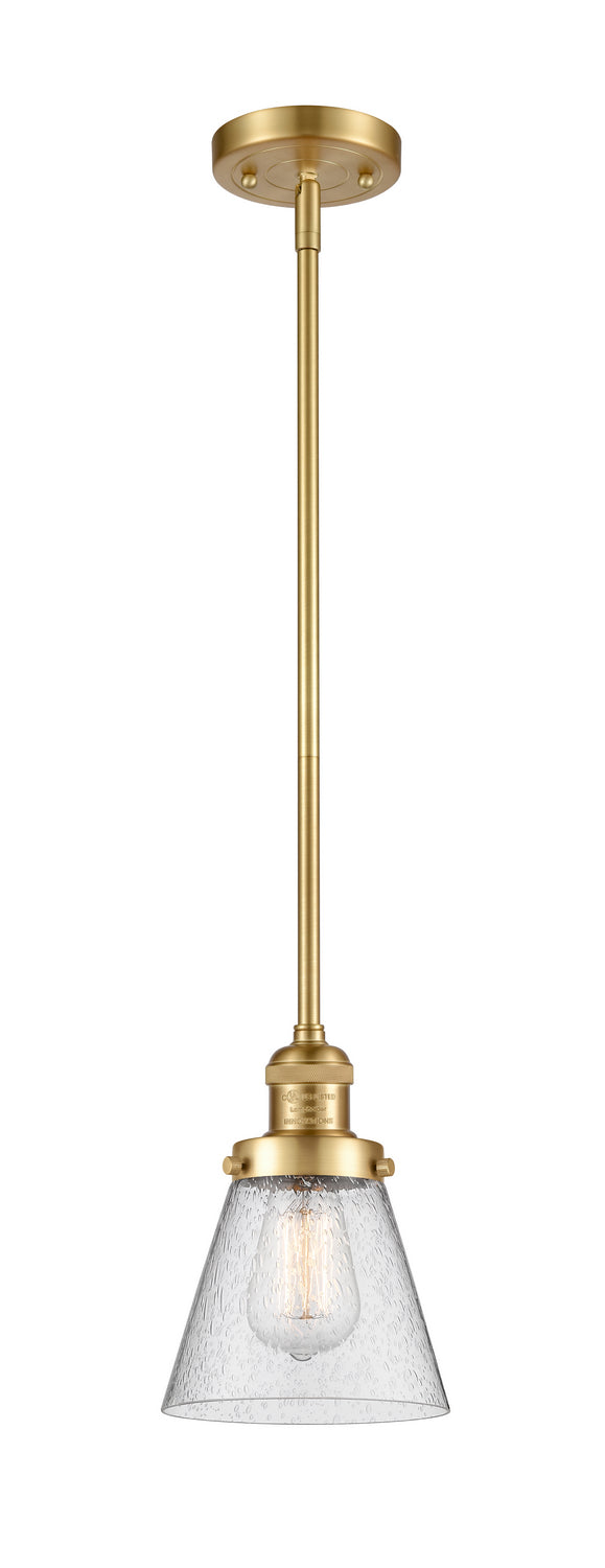 Innovations 201S-SG-G64 One Light Mini Pendant, Satin Gold