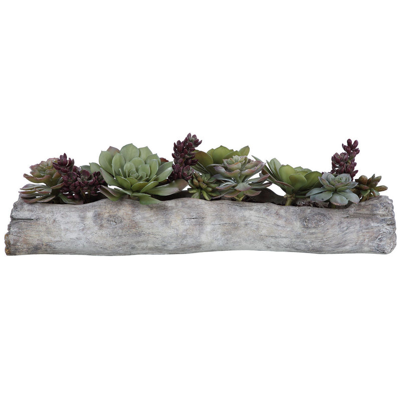 Uttermost 60174 Succulents, Greens And Burgundy