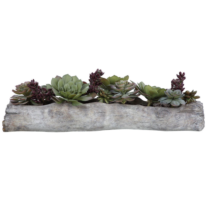 Uttermost 60174 Succulents, Greens And Burgundy