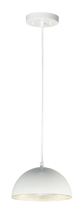 ET2 E24900-GWAL LED Pendant, Gloss White / Aluminum