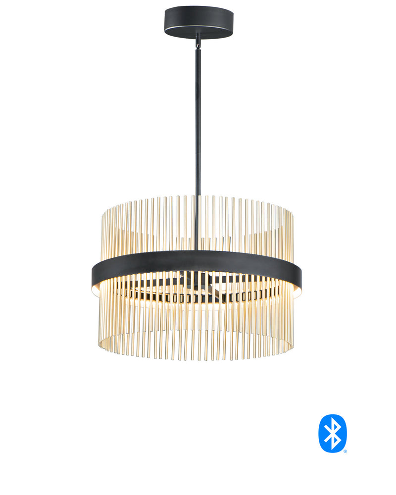 ET2 E34205-BKSBR LED Pendant, Black / Satin Brass