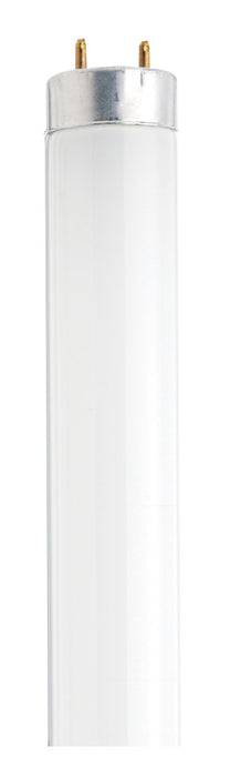 Satco S6510-TF Light Bulb