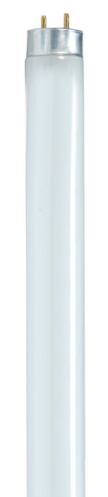 Satco S8428-TF Light Bulb