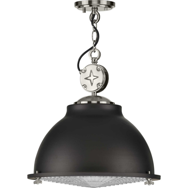Progress Lighting P500212-143 One Light Pendant, Graphite