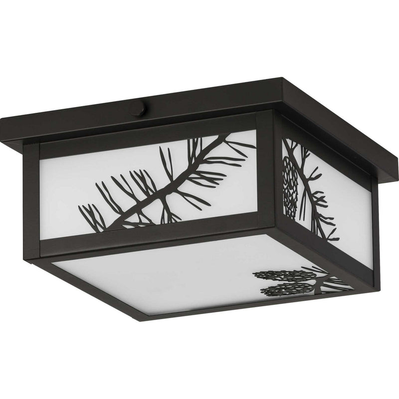 Progress Lighting P550059-020 Two Light Outdoor Flush Mount, Antique Bronze