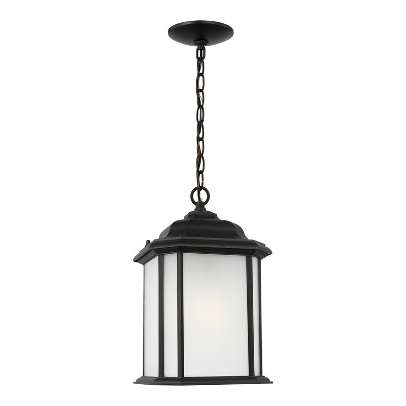 Generation Lighting 60531EN3-12 One Light Outdoor Pendant, Black