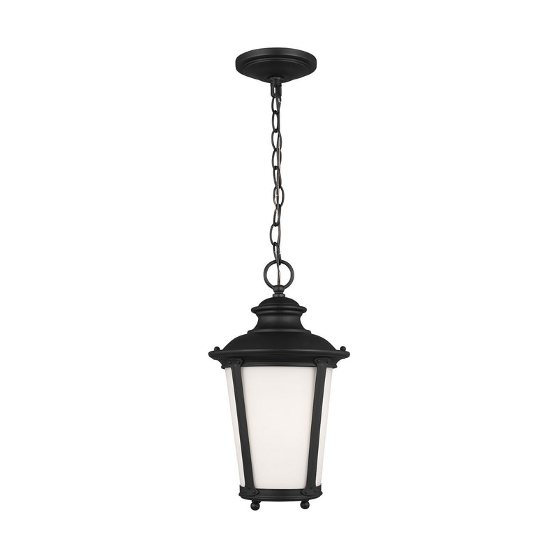 Generation Lighting 62240-12 One Light Outdoor Pendant, Black