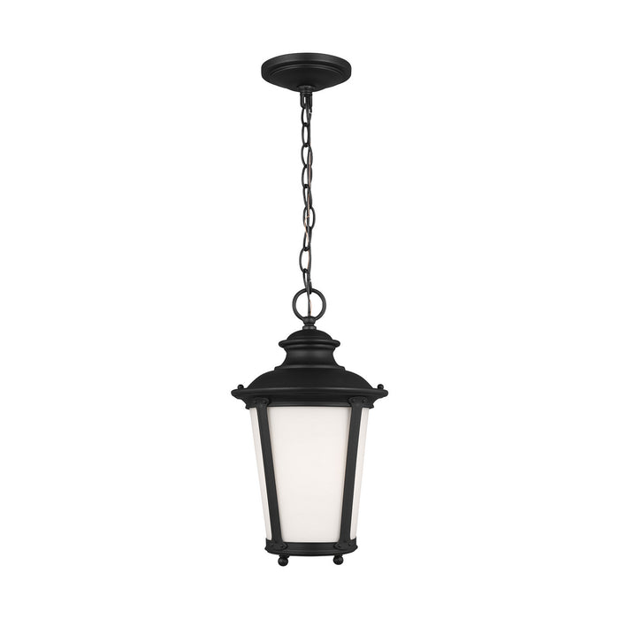 Generation Lighting 62240-12 One Light Outdoor Pendant, Black