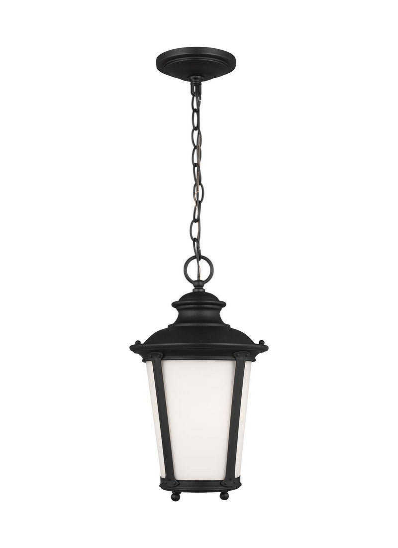 Generation Lighting 62240EN3-12 One Light Outdoor Pendant, Black