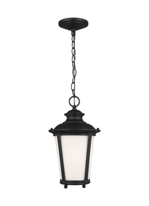 Generation Lighting 62240EN3-12 One Light Outdoor Pendant, Black
