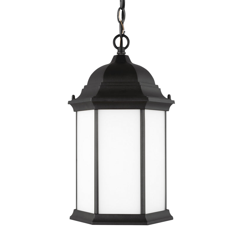 Generation Lighting 6238751-12 One Light Outdoor Pendant, Black