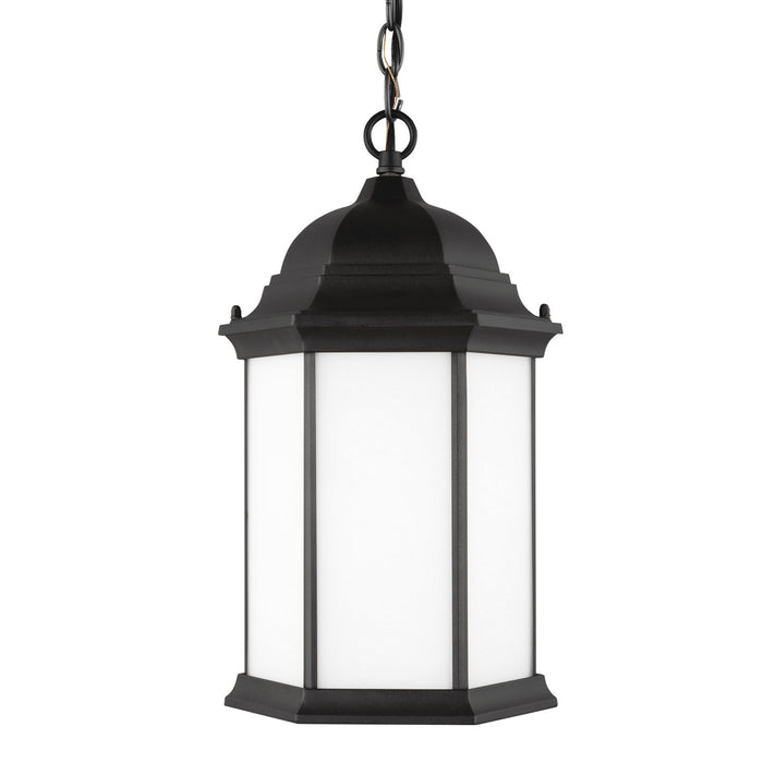 Generation Lighting 6238751-12 One Light Outdoor Pendant, Black