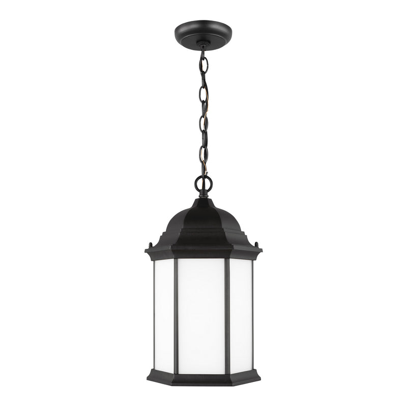 Generation Lighting 6238751-12 One Light Outdoor Pendant, Black