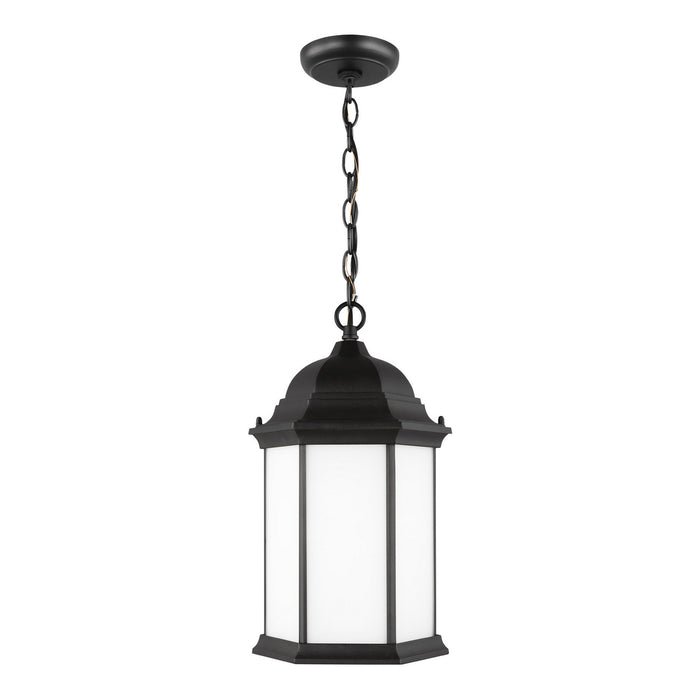 Generation Lighting 6238751-12 One Light Outdoor Pendant, Black