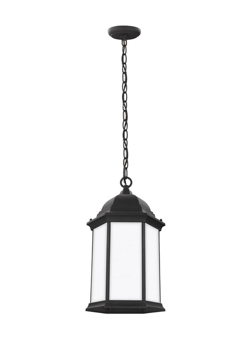 Generation Lighting 6238751EN3-12 One Light Outdoor Pendant, Black