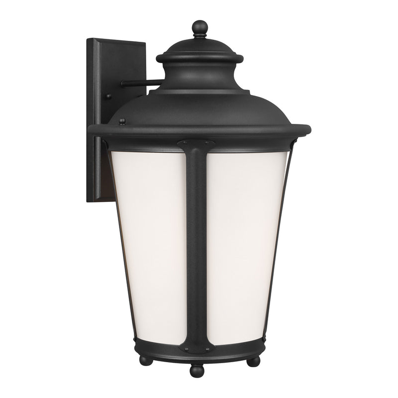 Generation Lighting 88244-12 One Light Outdoor Wall Lantern, Black