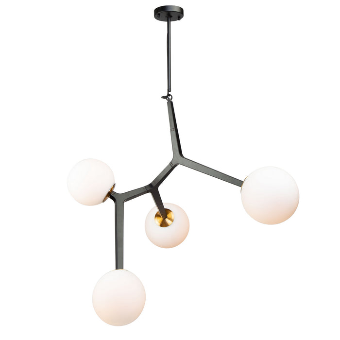 Artcraft AC10974VB Four Light Pendant, Black & Harvest Brass