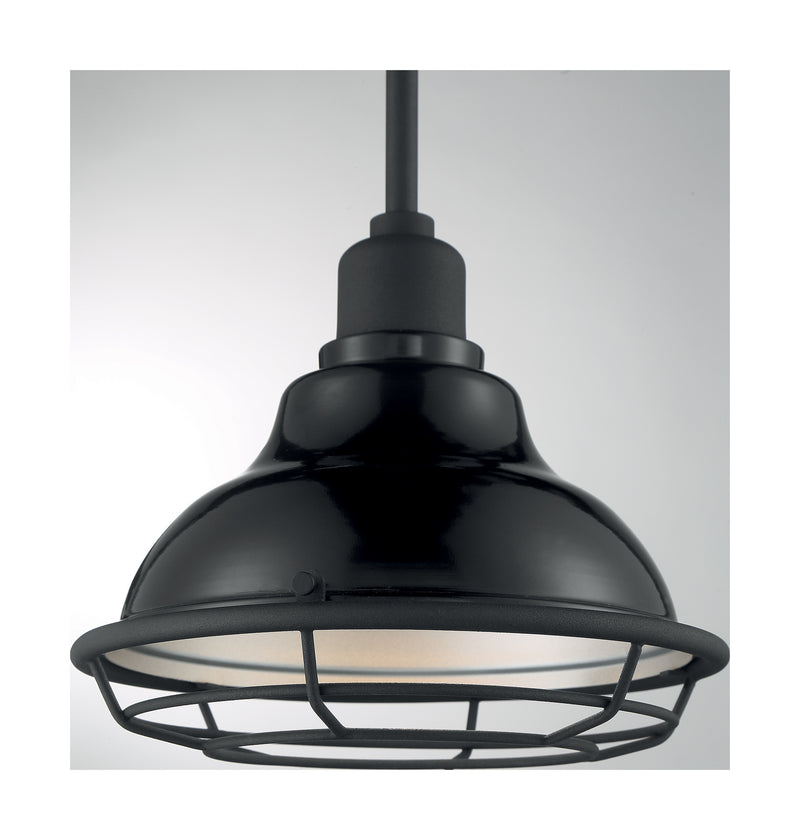 Nuvo Lighting 60-7003 One Light Pendant, Gloss Black / Silver