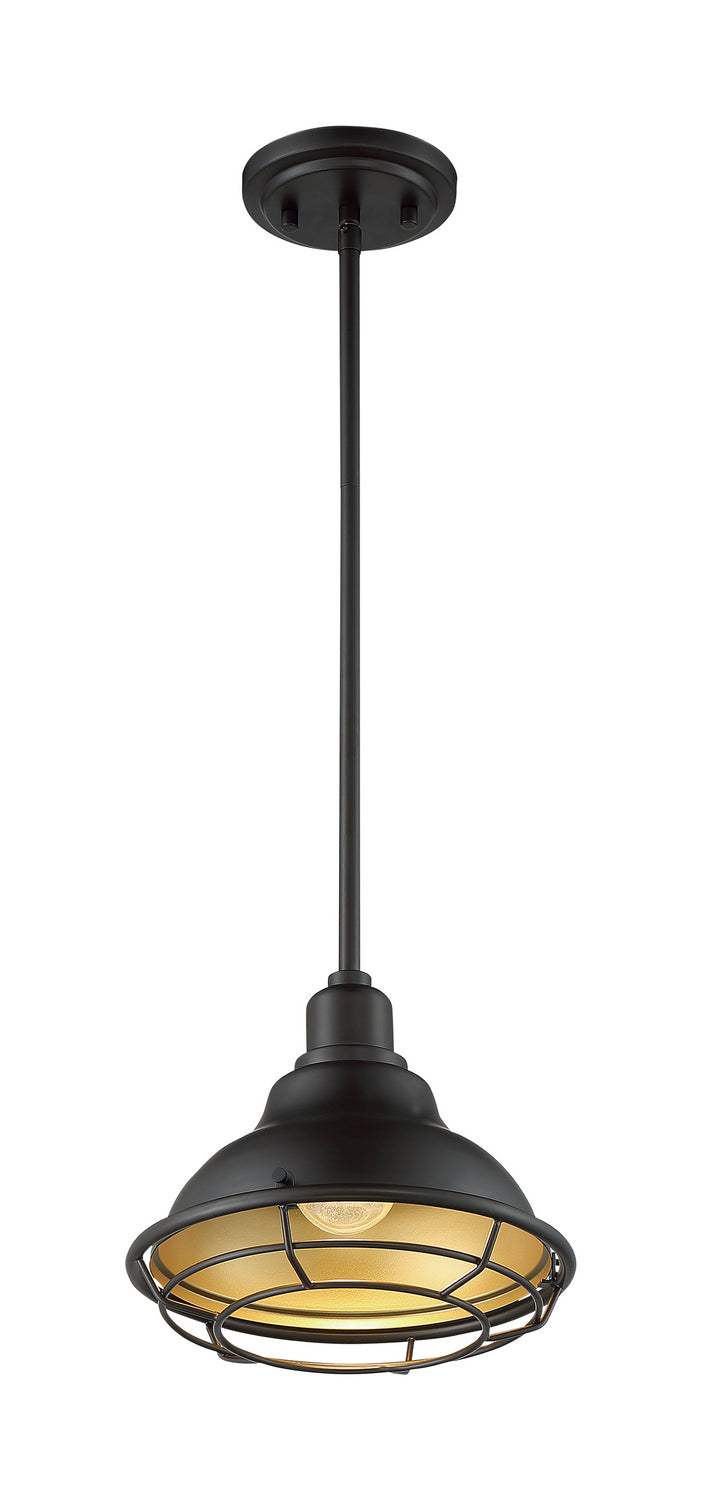 Nuvo Lighting 60-7013 One Light Pendant, Dark Bronze / Gold