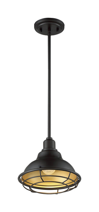 Nuvo Lighting 60-7013 One Light Pendant, Dark Bronze / Gold