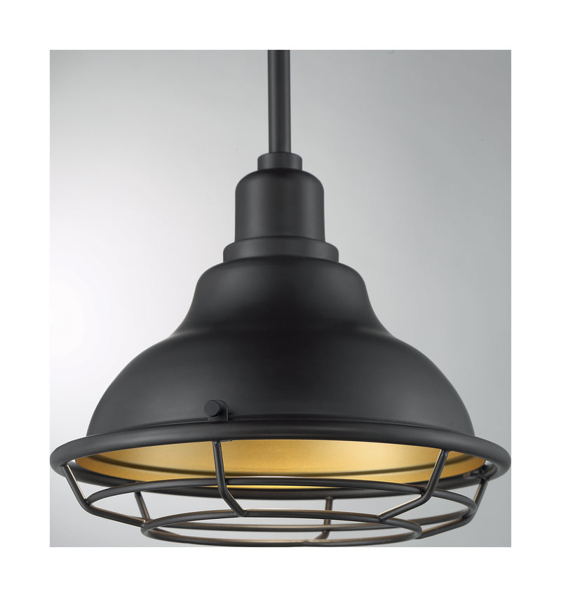 Nuvo Lighting 60-7013 One Light Pendant, Dark Bronze / Gold