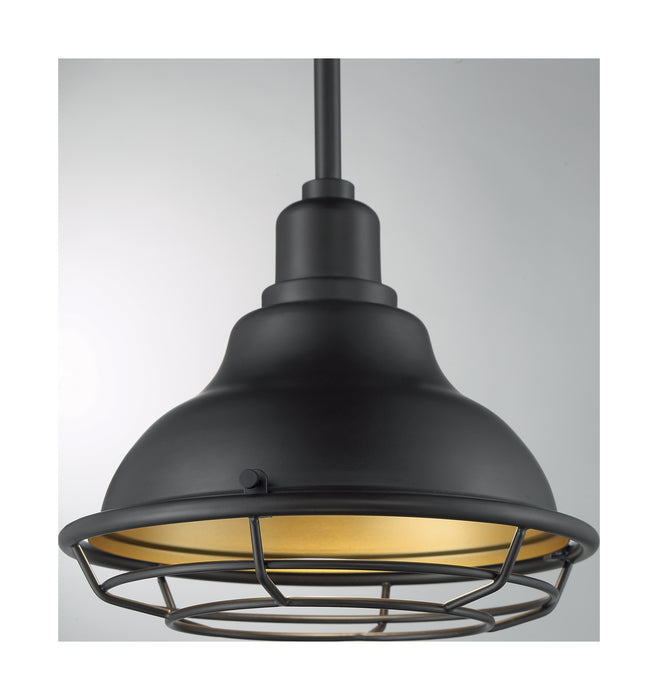 Nuvo Lighting 60-7013 One Light Pendant, Dark Bronze / Gold
