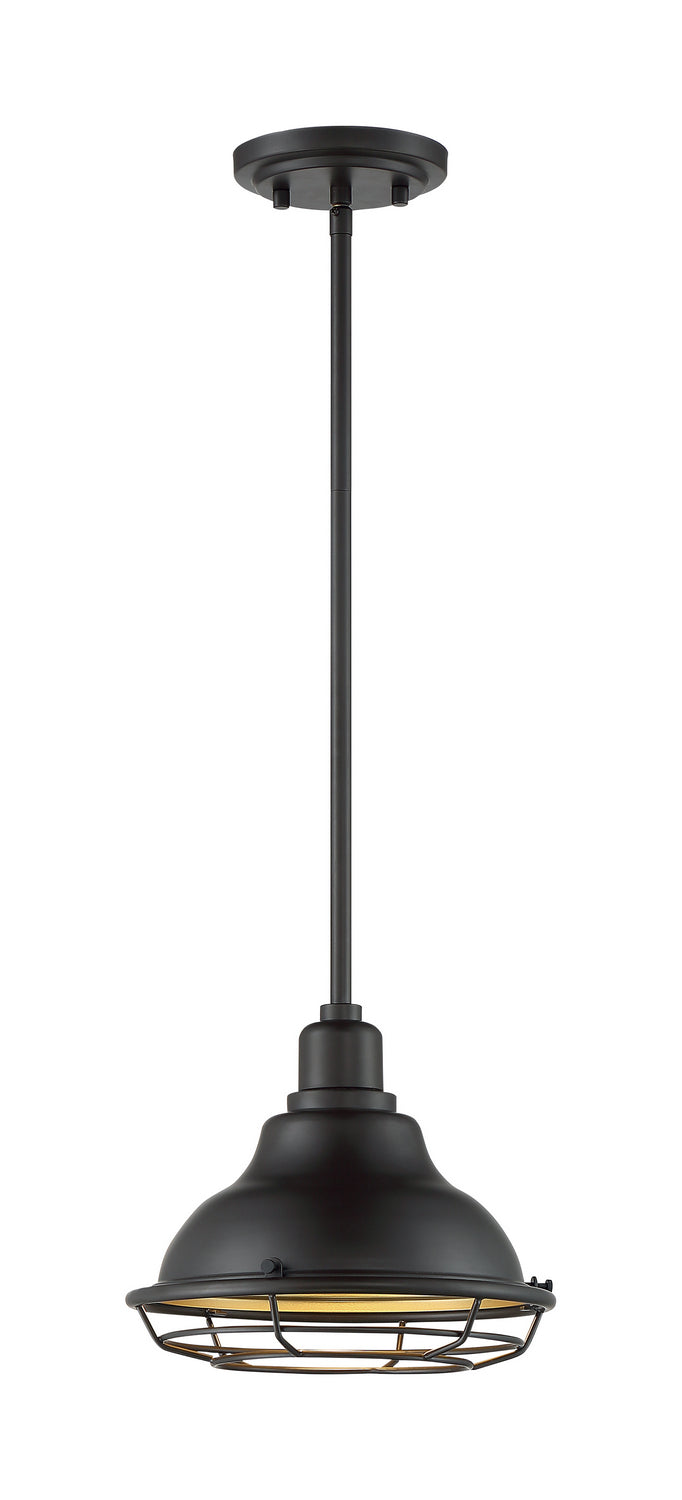 Nuvo Lighting 60-7013 One Light Pendant, Dark Bronze / Gold