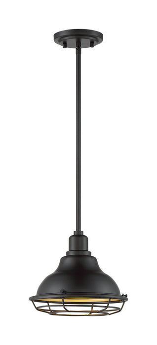 Nuvo Lighting 60-7013 One Light Pendant, Dark Bronze / Gold