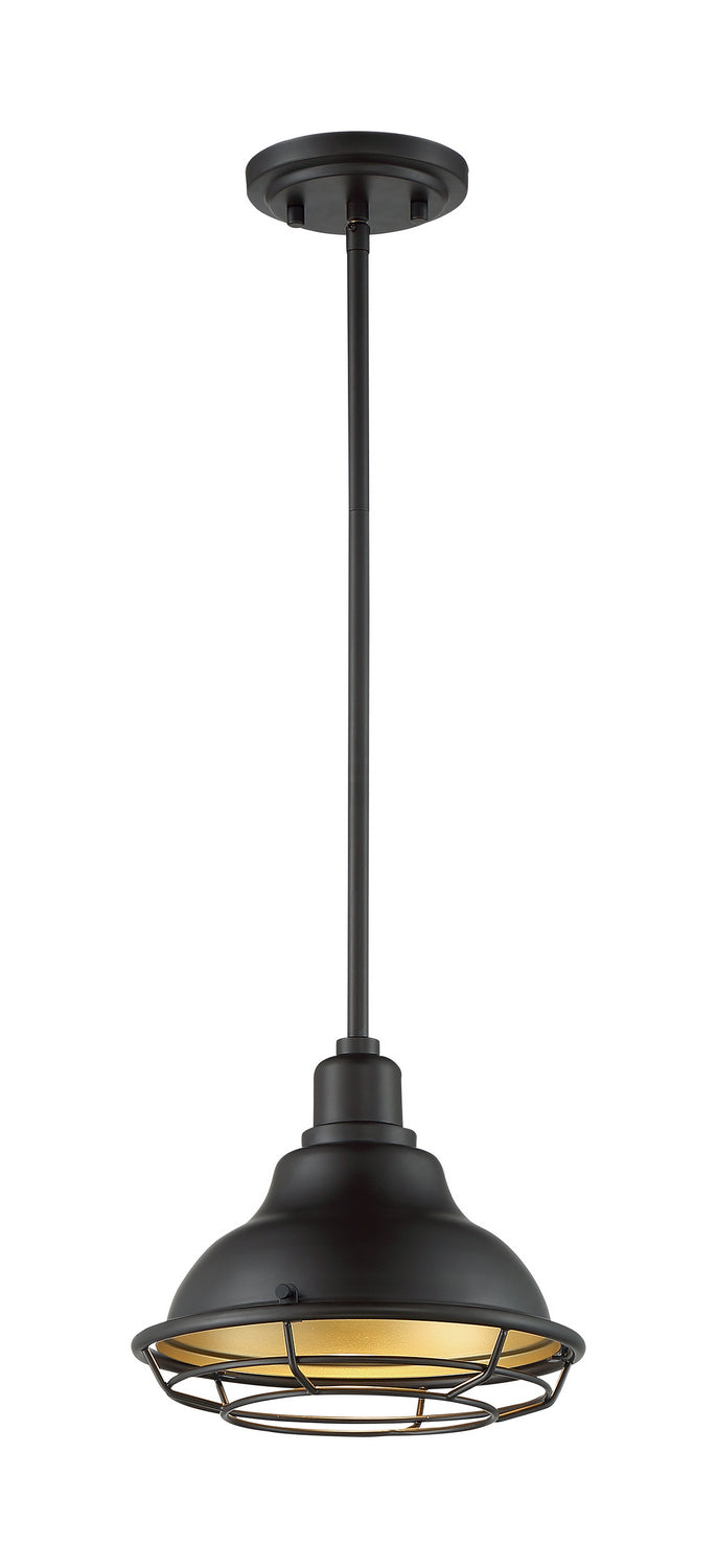 Nuvo Lighting 60-7013 One Light Pendant, Dark Bronze / Gold