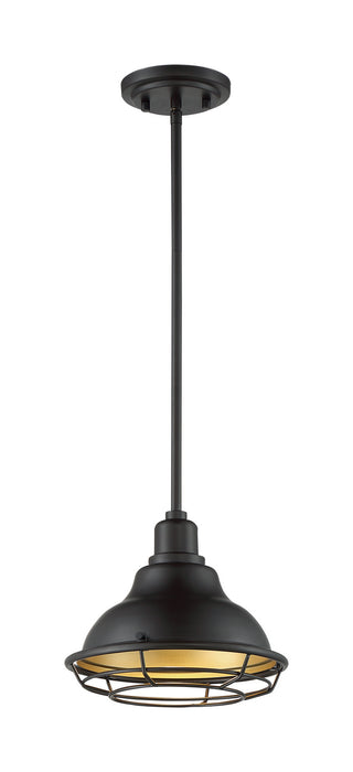 Nuvo Lighting 60-7013 One Light Pendant, Dark Bronze / Gold