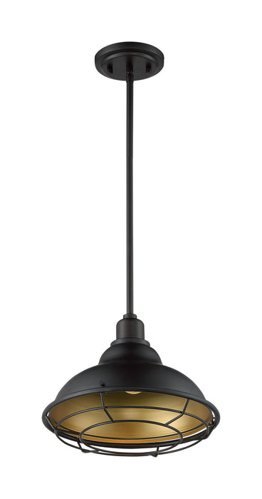 Nuvo Lighting 60-7014 One Light Pendant, Dark Bronze / Gold