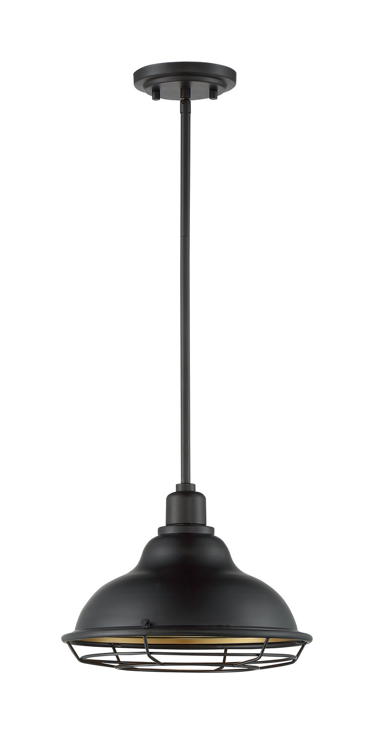 Nuvo Lighting 60-7014 One Light Pendant, Dark Bronze / Gold