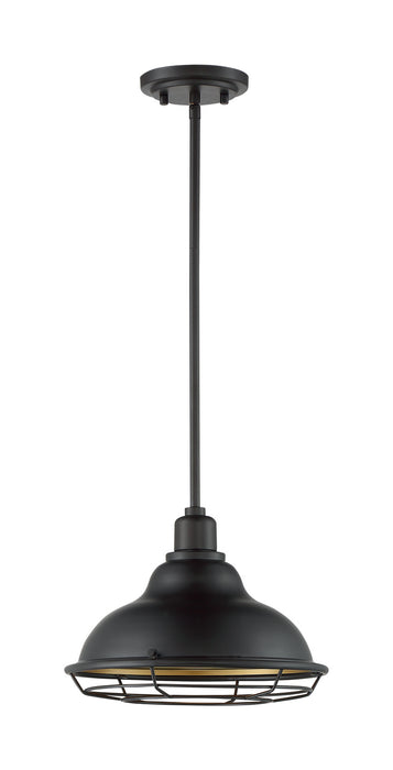 Nuvo Lighting 60-7014 One Light Pendant, Dark Bronze / Gold