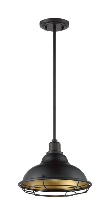 Nuvo Lighting 60-7014 One Light Pendant, Dark Bronze / Gold