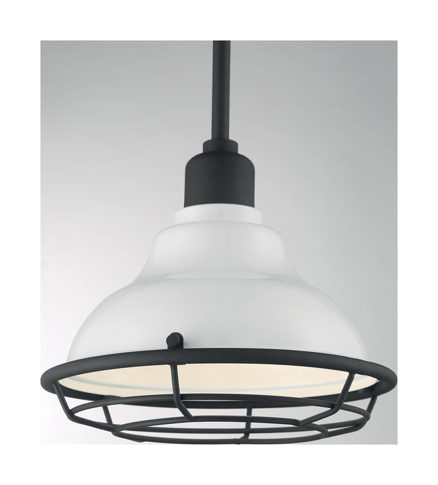 Nuvo Lighting 60-7023 One Light Pendant, Gloss White / Black