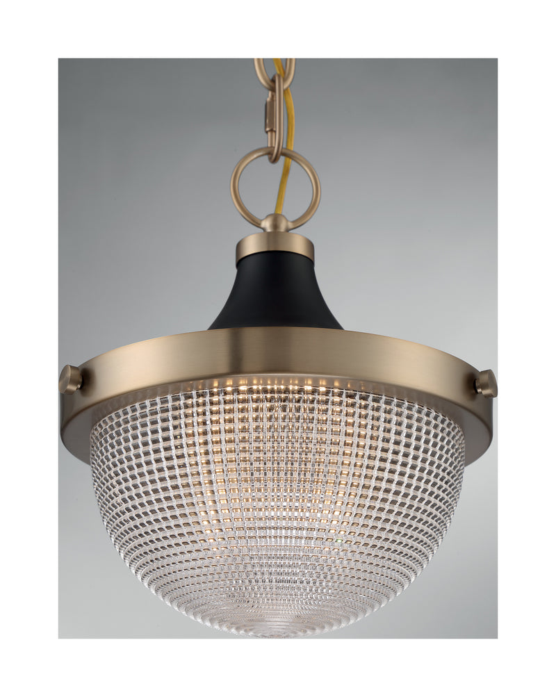 Nuvo Lighting 60-7059 One Light Pendant, Burnished Brass / Black