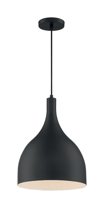 Nuvo Lighting 60-7087 One Light Pendant, Matte Black