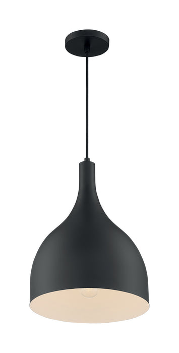 Nuvo Lighting 60-7087 One Light Pendant, Matte Black