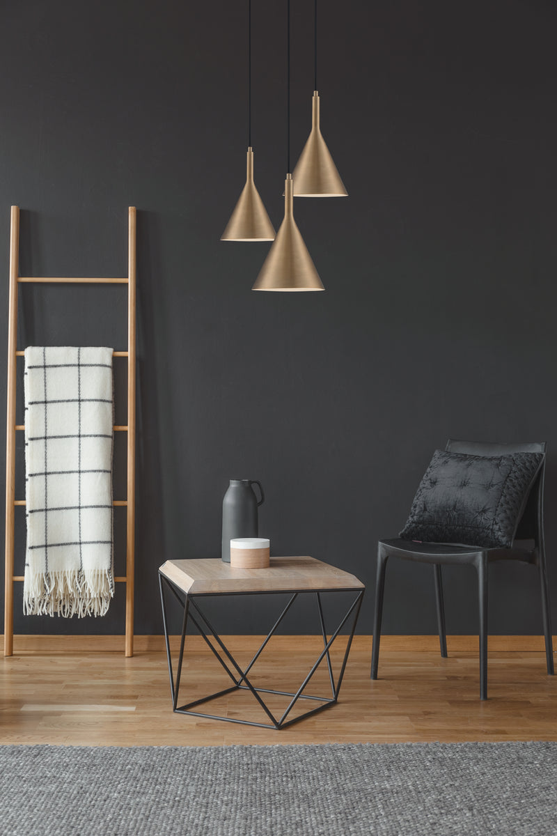Nuvo Lighting 60-7117 One Light Pendant, Burnished Brass