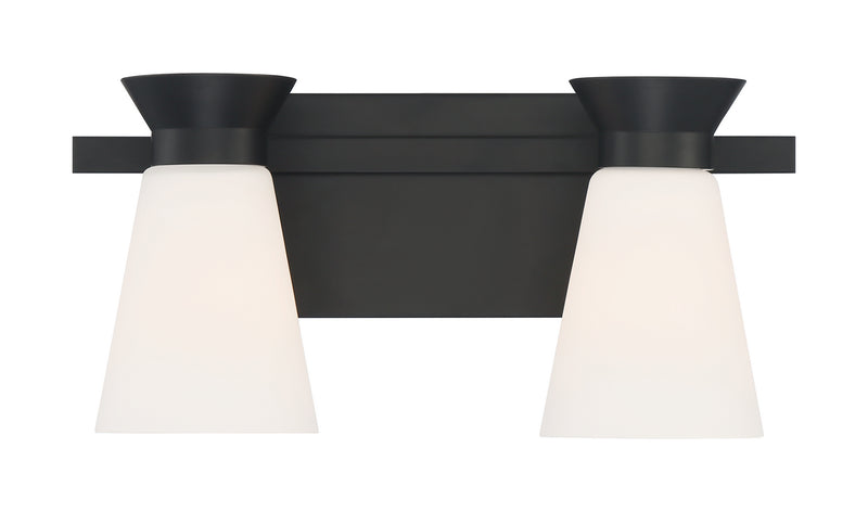Nuvo Lighting 60-7312 Two Light Vanity, Black