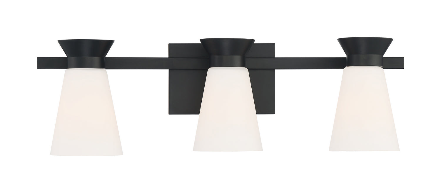 Nuvo Lighting 60-7313 Three Light Vanity, Black