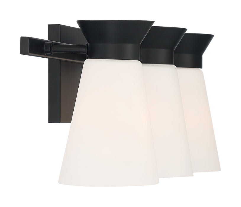 Nuvo Lighting 60-7313 Three Light Vanity, Black